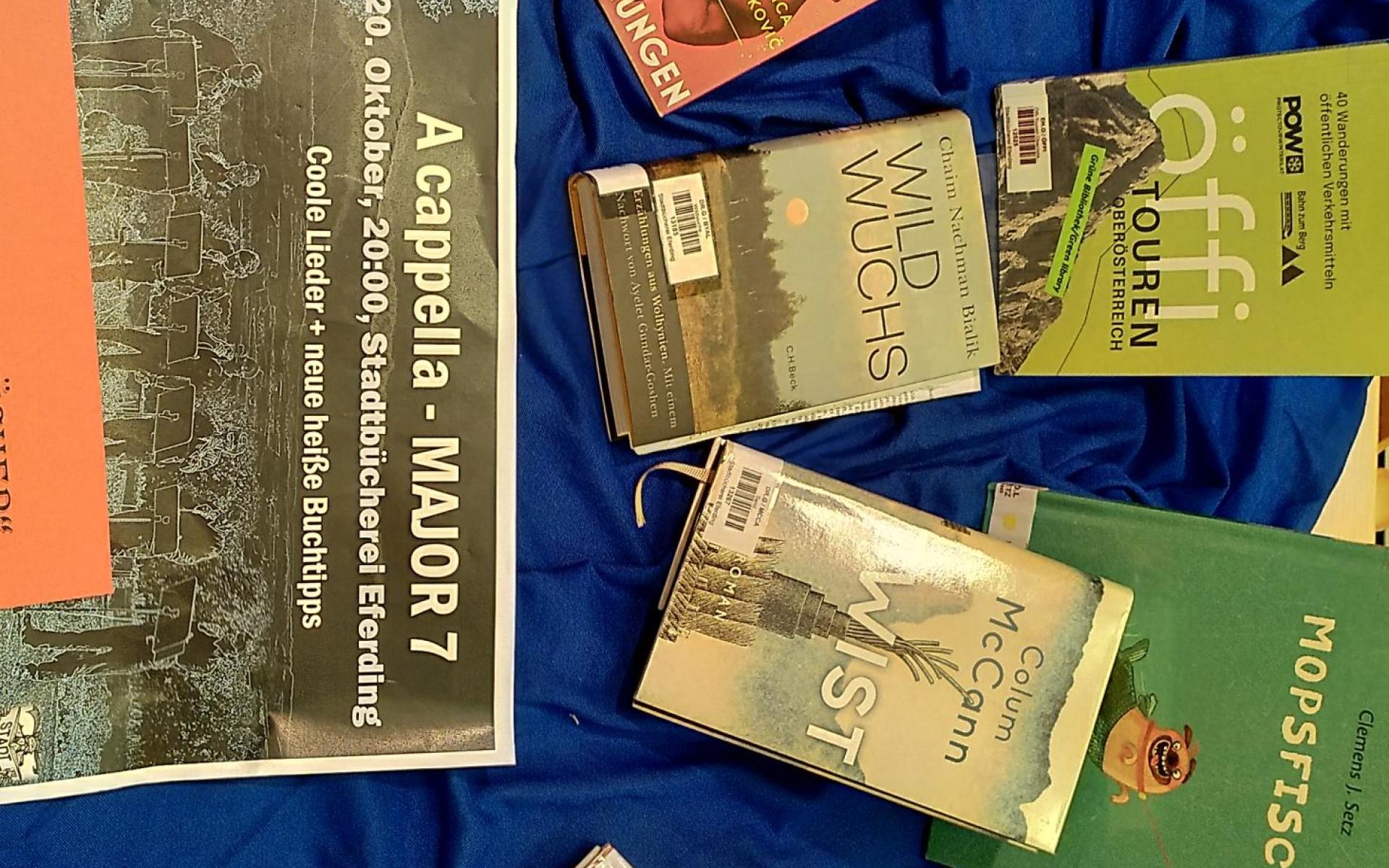 Bücher, die von Major 7 besungen und vorgesetllt wurden