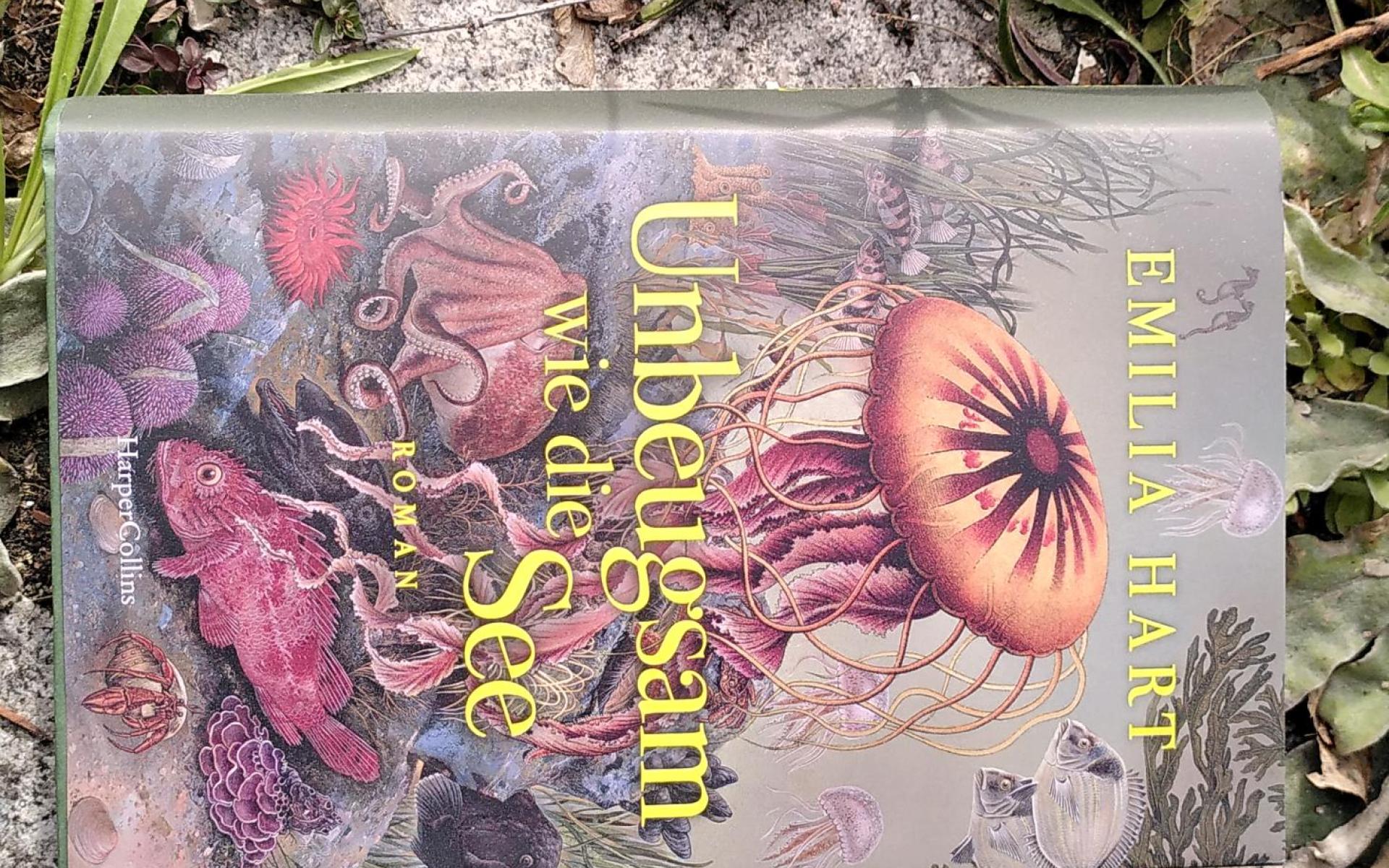 Buchtipp Mai