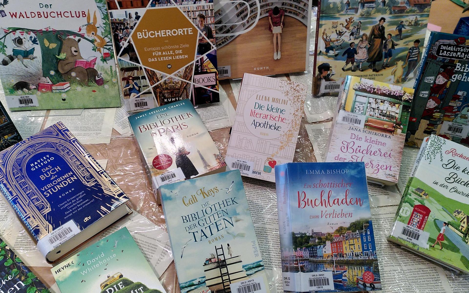 Die Bibliothek im Buch