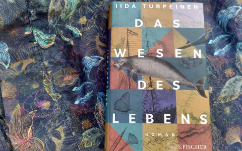 Lesetipp September