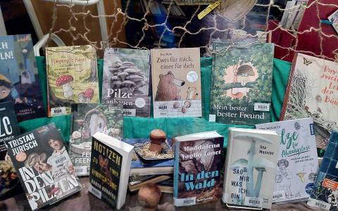 Es sprießen Pilze im Schaufenster!